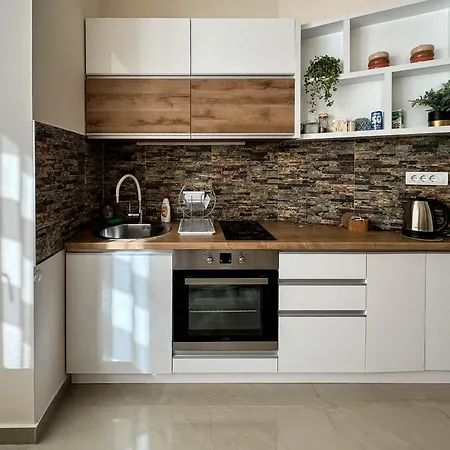 Old Town Apartment Belgrad